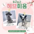 비헤브 이미지