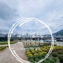 반남국화 영농조합법인 | [부산] 부산 식물쇼핑, &lt;미래화훼공원(미래화훼단지)&gt; 여름의 끝자락에 다시 다녀왔어요. 2025.09.07
