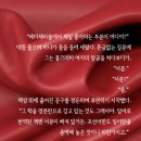 미나무역