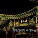 해운대에 올라 Daum카페