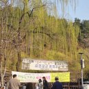 가야금(야간) | 2026 고령대가야축제 테마파크 여행 문화누리 후기