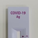 옵티마참약국 이미지