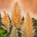 봉두농장 이미지