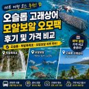 서린오토바이 | 세부 여행 코스 추천, 오슬롭 고래상어·모알보알 오모팩 후기 및 가격 비교