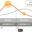 7일다이어트