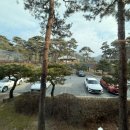 카페인하원 이미지