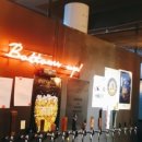 바얼리반 이미지