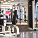 유엘피티 이미지