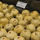 하츠(HAZ) 이미지