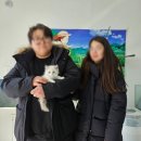 동두천-045 | 동두천 고양이분양 후기 (1781)