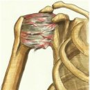 고덕패밀리한의원 이미지