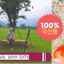 홀리데이파크골프 이미지