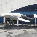 김밥클릭 (죽변점) | 국립해양과학관(울진 죽변)