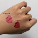 Feel뷰티 | fwee틴트 퓌틴트 퓌바닐라에디션 프레쉬로즈 스윗로즈 후기