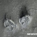 진주 충무공동 익룡ㆍ새ㆍ공룡발자국 화석산지 이미지