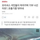 모리셔스 국민들이 머리카락 기부 나선 이유?..유출기름 닦아내 이미지