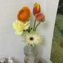 그린인유어룸