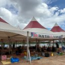 pet 14라9261 | 포항 수영장 형산강 물놀이장 준비물 및 운영시간, 시설, 후기