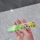 디지코리아(주) | [2026서일코] 후기