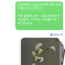 예일플라워 이미지