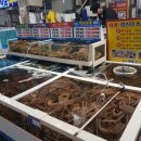 포항죽도어시장 이미지