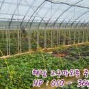 종순농장 이미지