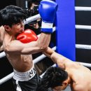 한국복싱진흥원 복싱아카데미 삼가점 이미지