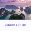 하롱베이 완전정복! 1박 2일 크루즈부터 액티비티까지 리얼 가이드