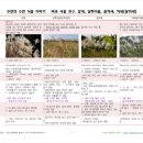 달뿌리집 이미지