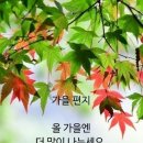 한 신사가 세상을 사는 방법을 생각하며 비를 맞고 걷고 있었습니다. 이미지