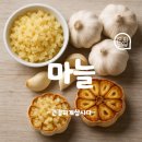 마늘 효능 10가지 총정리: 면역력 강화부터 암 예방까지 과학적으로 알아보기