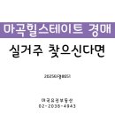 마곡현대힐스테이트공인중개사사무소 | 마곡힐스테이트 34평 경매, 실거주 찾는 분들은 꼭 보세요 (2025타경8651)