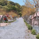 팔봉갯벌체험야영장 티스토리