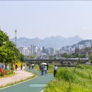 불광천3 | 서울 걷기 좋은 길 불광천 산책 데이트