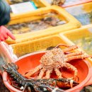 자갈치도매시장산꼼장어대게 | 부산 자갈치 맛집 추천 218호 신경북상회