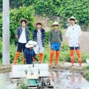 삼시세끼 이미지