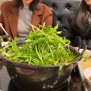 등촌샤브칼국수 성북점 네이버블로그