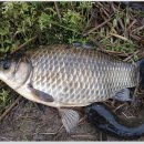 한마음낚시터 이미지