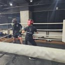 광교S2복싱다이어트 이미지