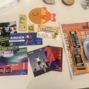 중로1-193, 중로 2 | 2026 상하이 F1 하프마라톤 참여 후기