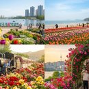 곡성-026 네이버블로그