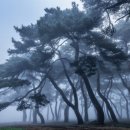 중앙대학로 이미지