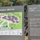 12월 29일 목요일 서울방 출석부 : 참 <b>좋은 친구들</b>~^^