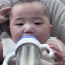 치우와겁쟁이들 | [5개월] 육아일기 (생후 152일~182일) / 분리수면, 새벽깸과 종달기상, 수면컨설팅