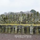 제주포인트투어 이미지
