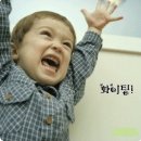 연세스쿨