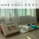 [베베쿡 다담박스] 당첨후기 이유식 준비 돗투돗x베베쿡