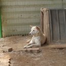 수리농장 이미지