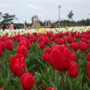 한결같은주유소 이미지