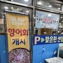 재송초등학교 | 부산 해운대 현지인 추천 맛집 거북선 횟집 후기